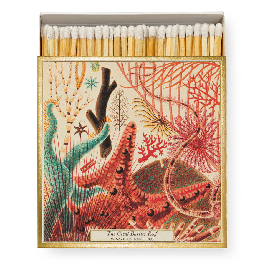 Natural History Museum Great Barrier Reef Luxury Letterpress Match Box
