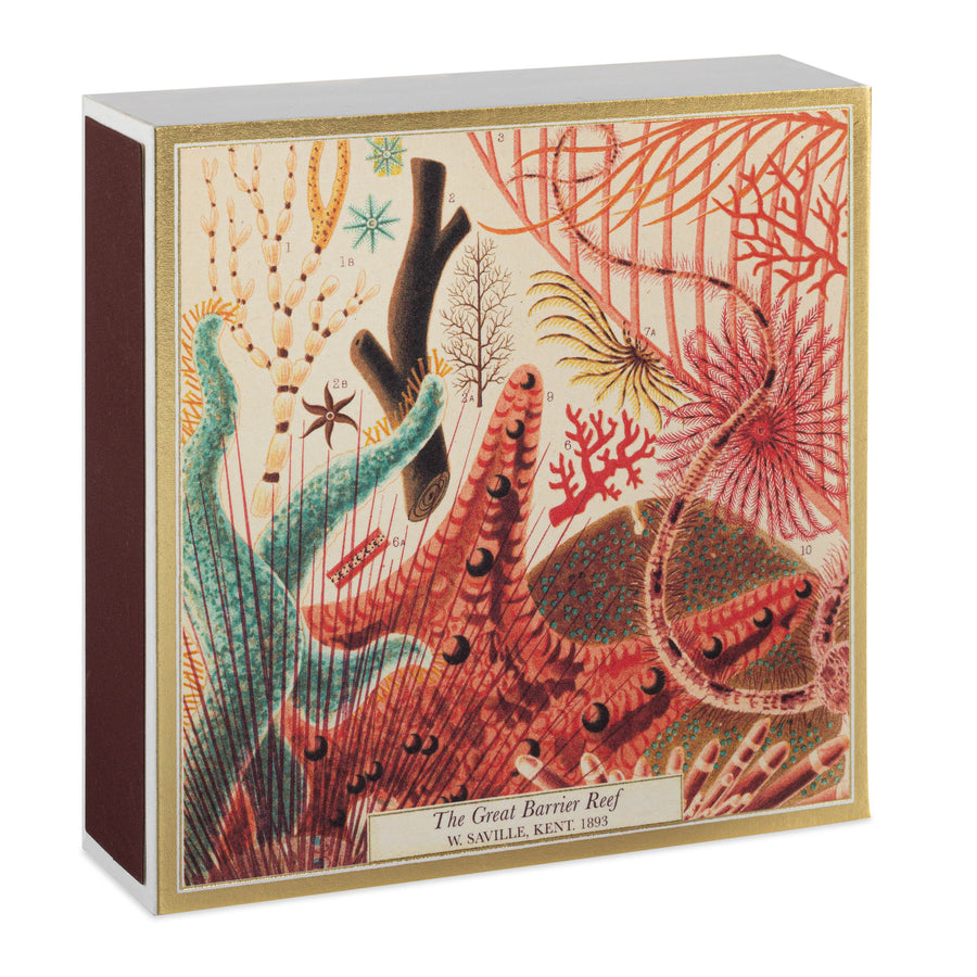 Natural History Museum Great Barrier Reef Luxury Letterpress Match Box